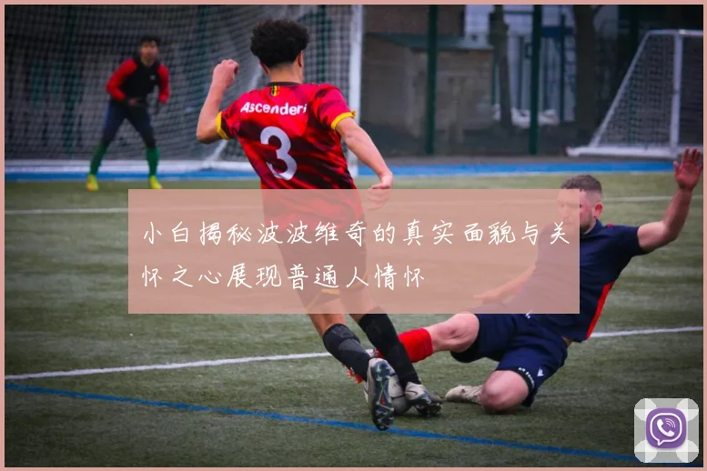 小白揭秘波波维奇的真实面貌与关怀之心展现普通人情怀