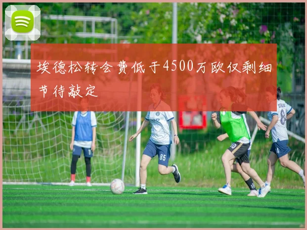 埃德松转会费低于4500万欧仅剩细节待敲定