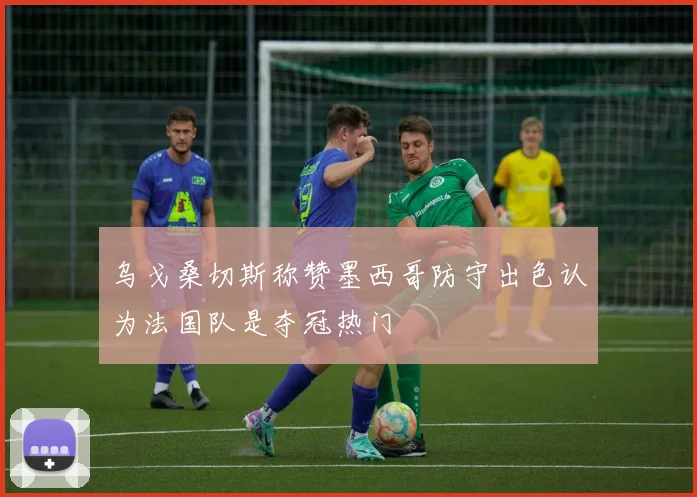 乌戈桑切斯称赞墨西哥防守出色认为法国队是夺冠热门